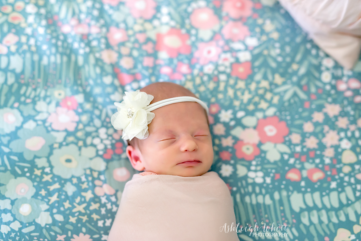 cleveland ohio lifestyle newborn photographer