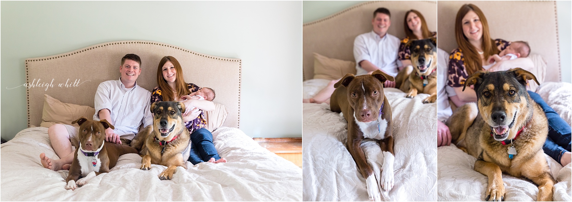 Akron Ohio Newborn Photographer