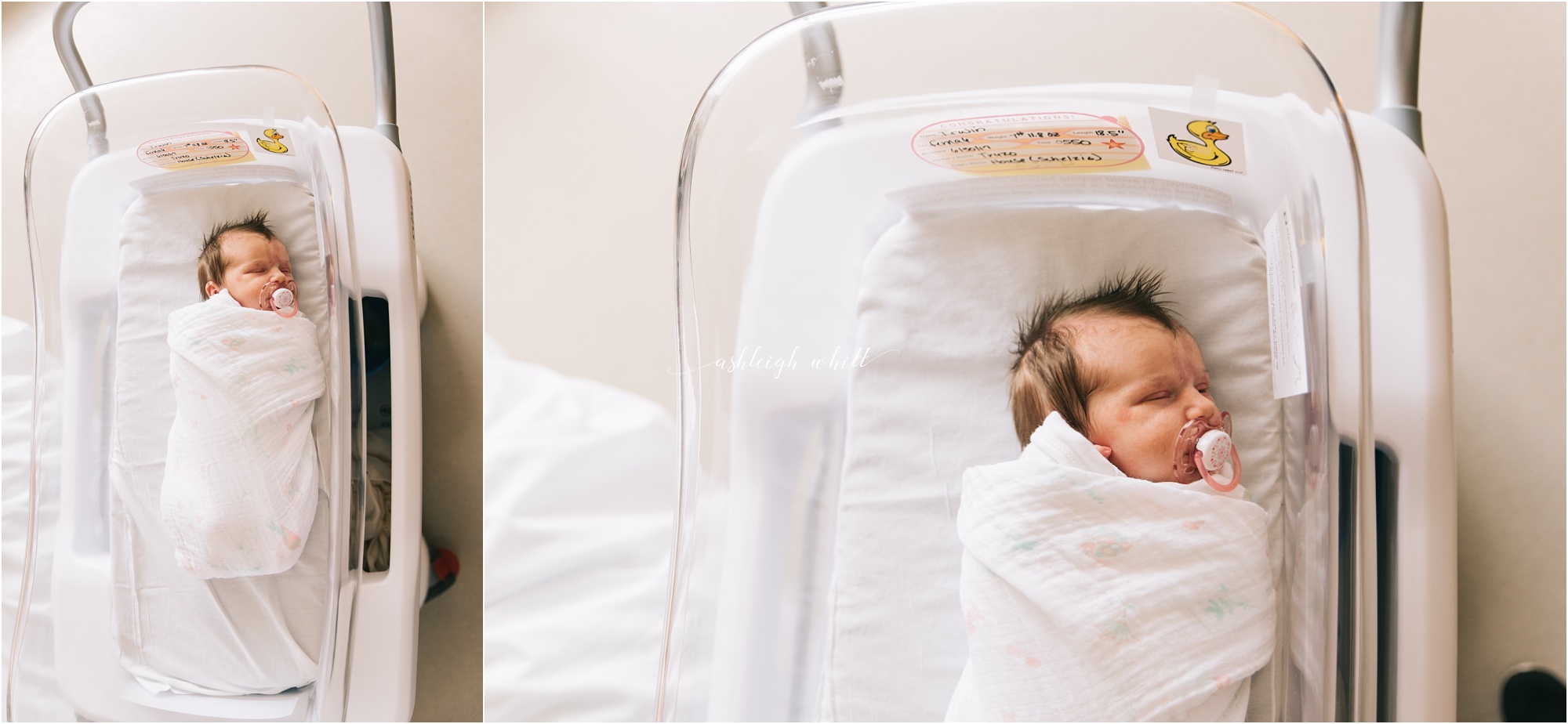 Brooklyn Heights Newborn Photographer