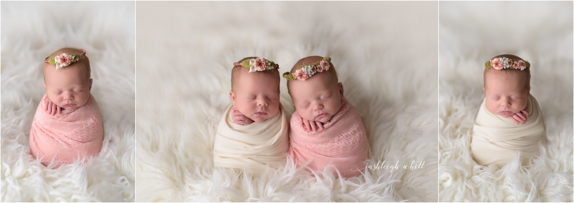 Grafton Newborn Photographer