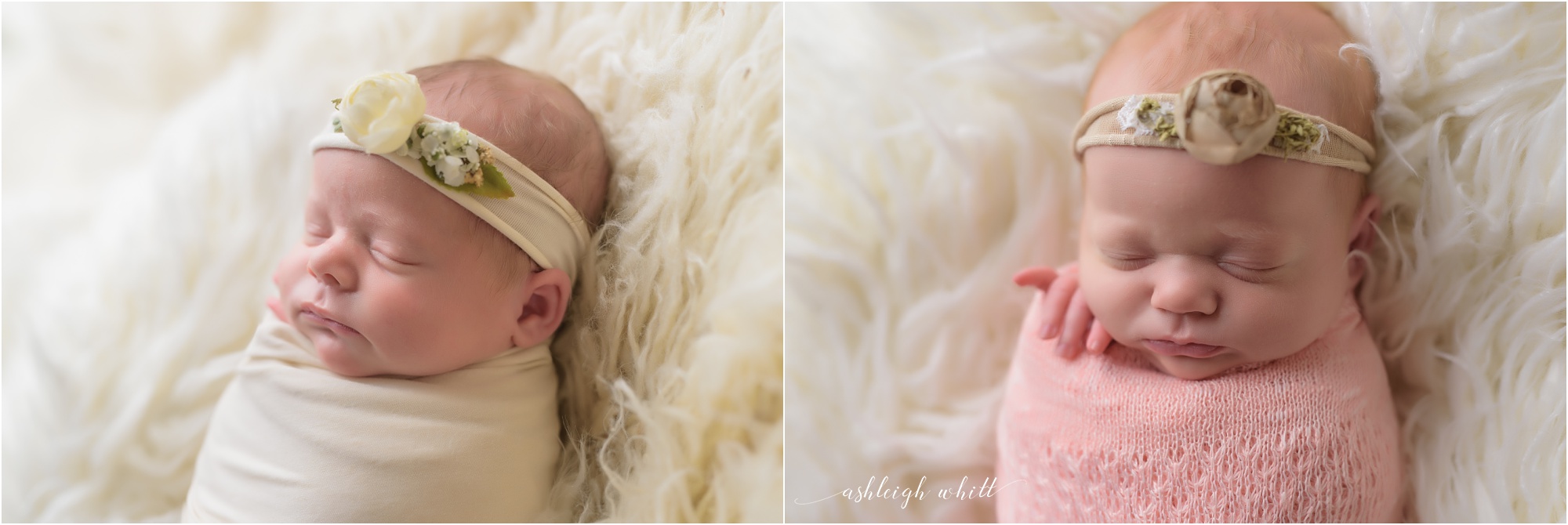 Grafton Newborn Photographer