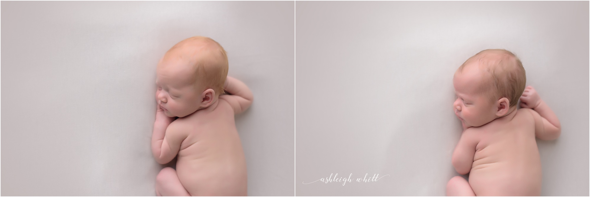 Grafton Newborn Photographer