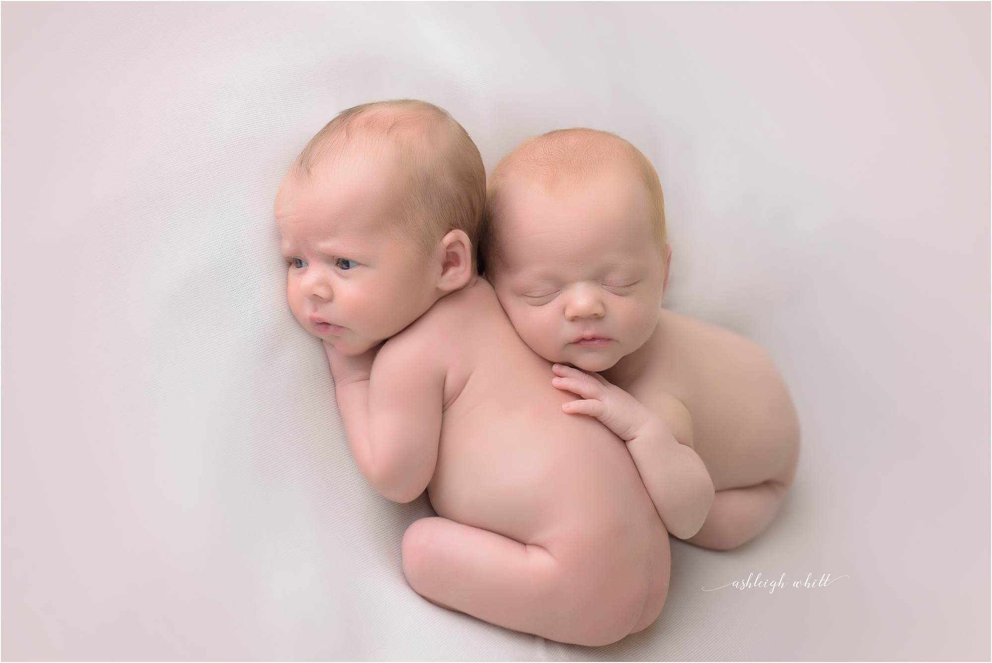 Grafton Newborn Photographer