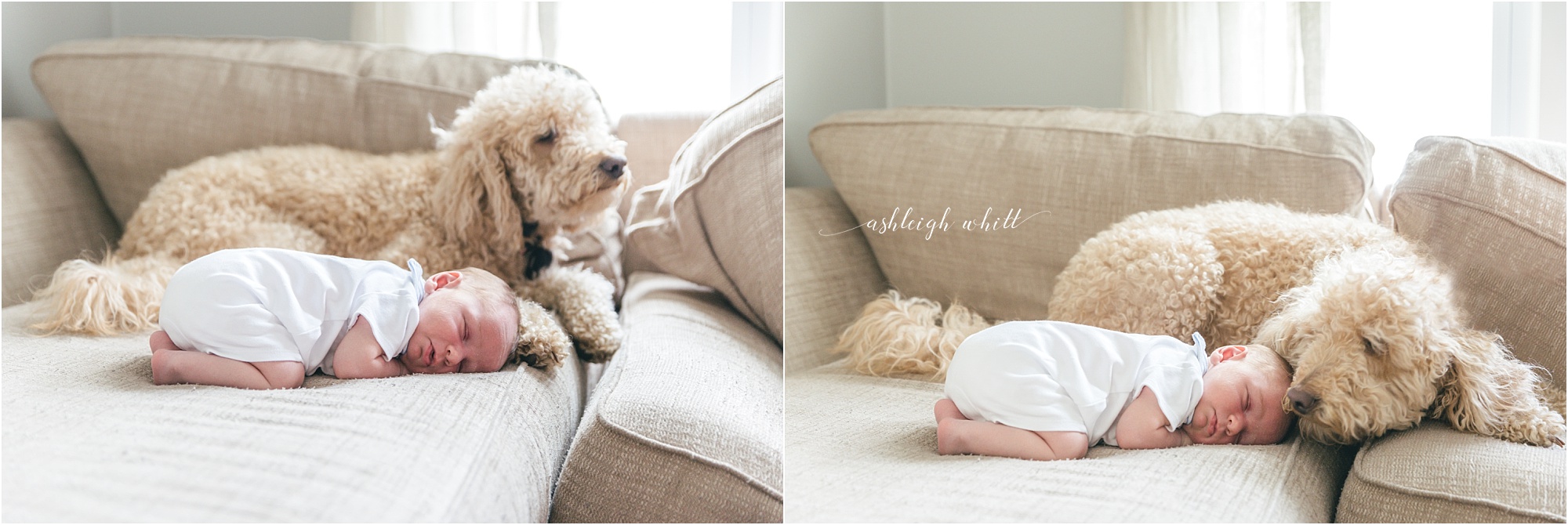 Shaker Heights Newborn Photographer