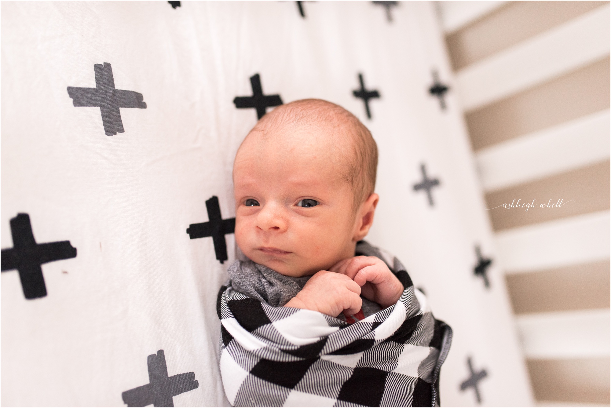 Broadview Heights Newborn Photographer