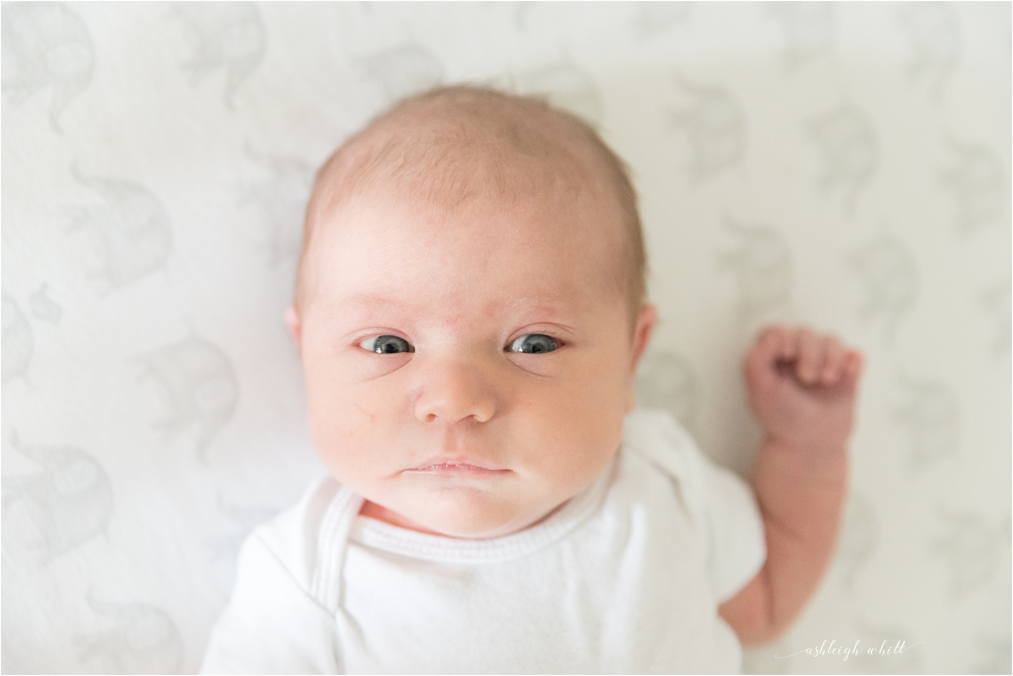 Rocky River Newborn Photography