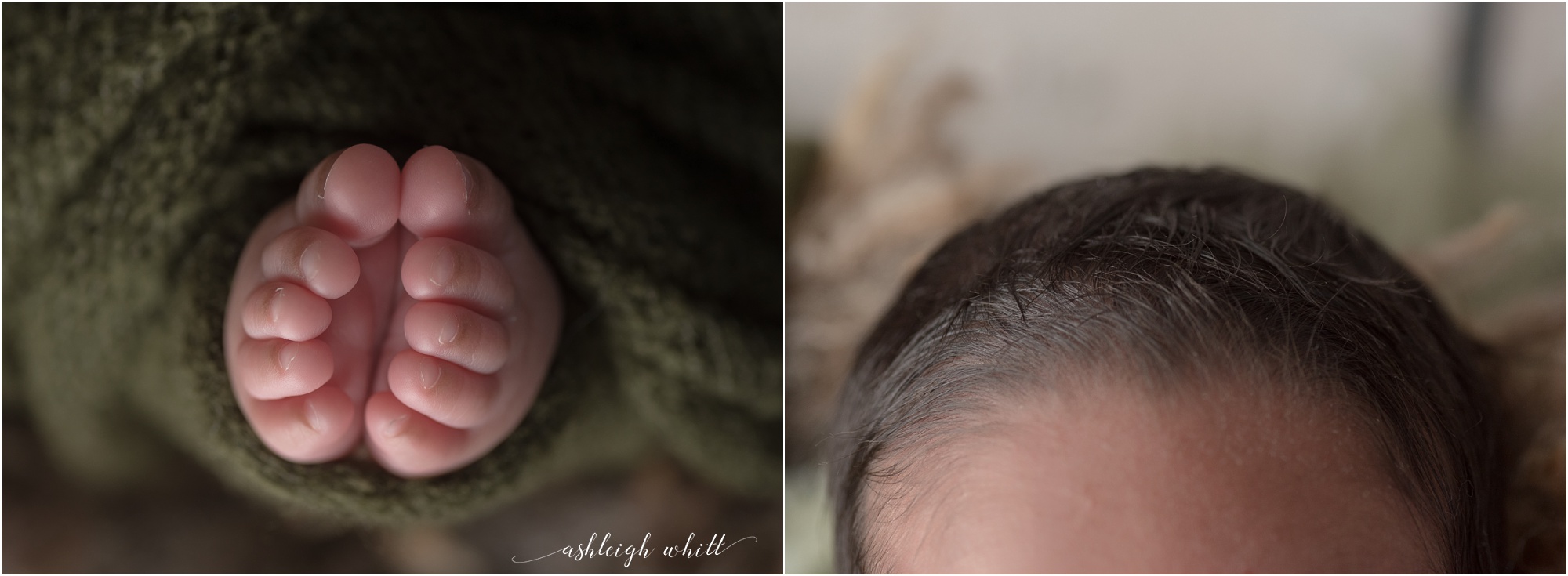 Cleveland Ohio Newborn Photography