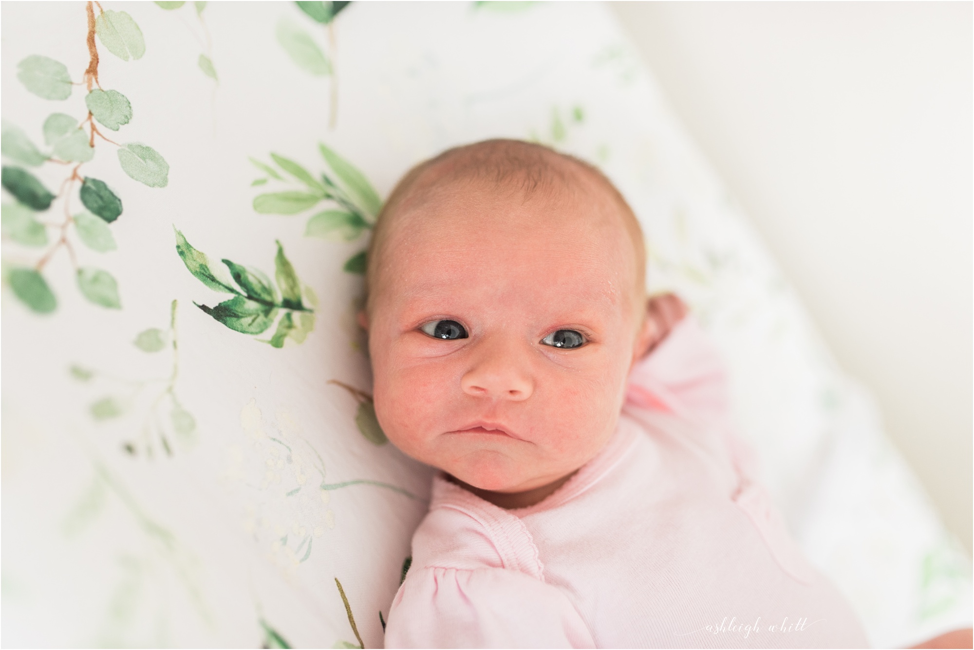 Rocky River Newborn Photographer