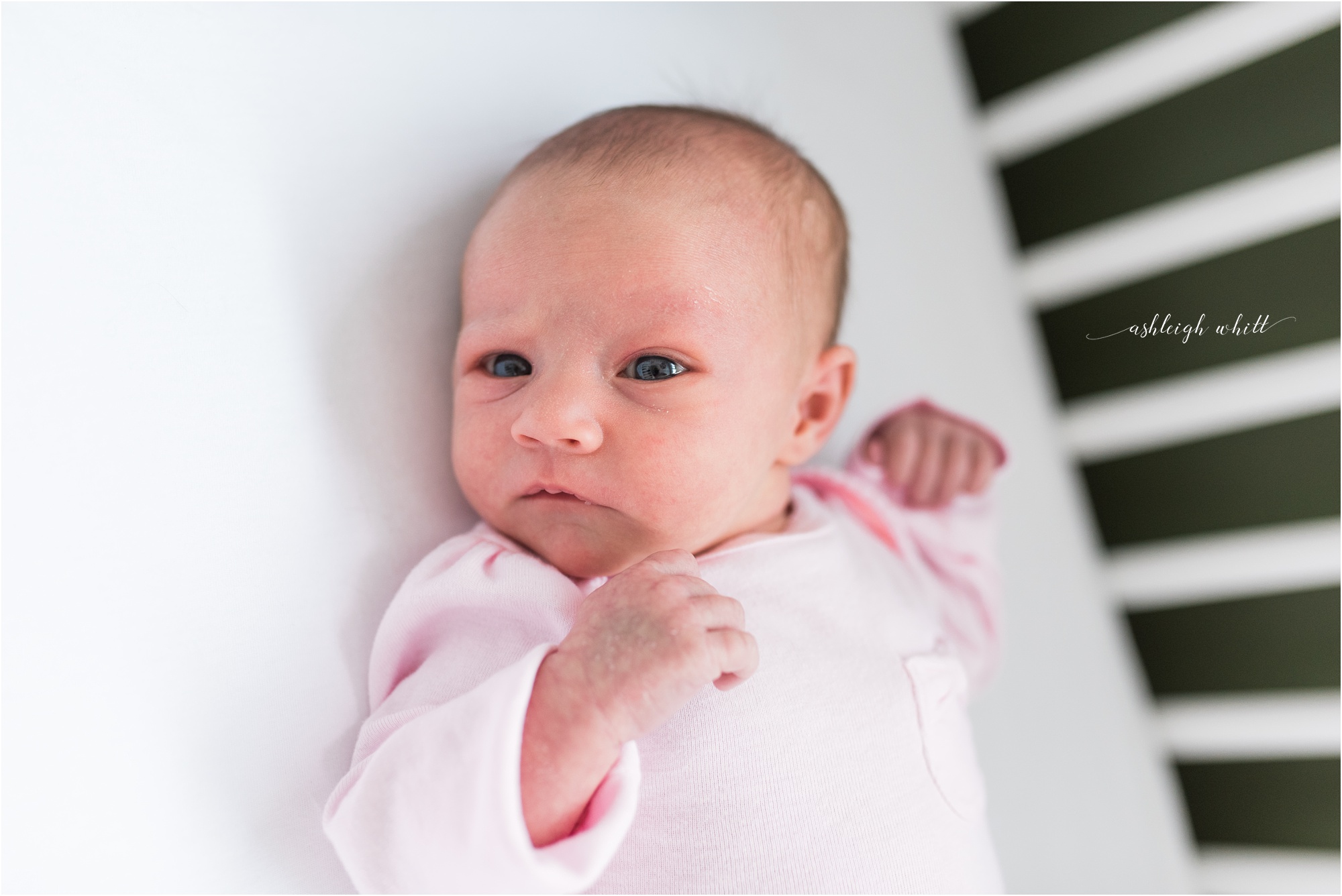 Rocky River Newborn Photographer