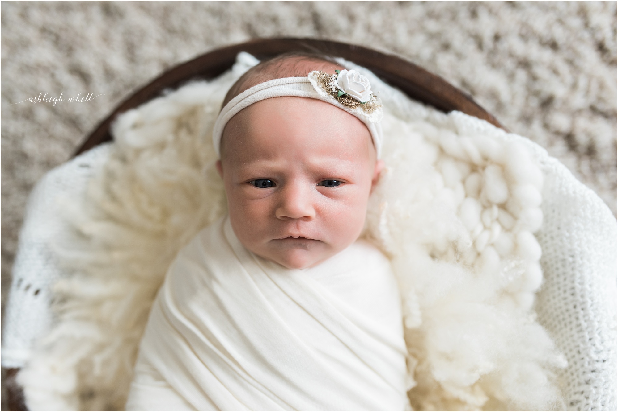 Rocky River Newborn Photographer