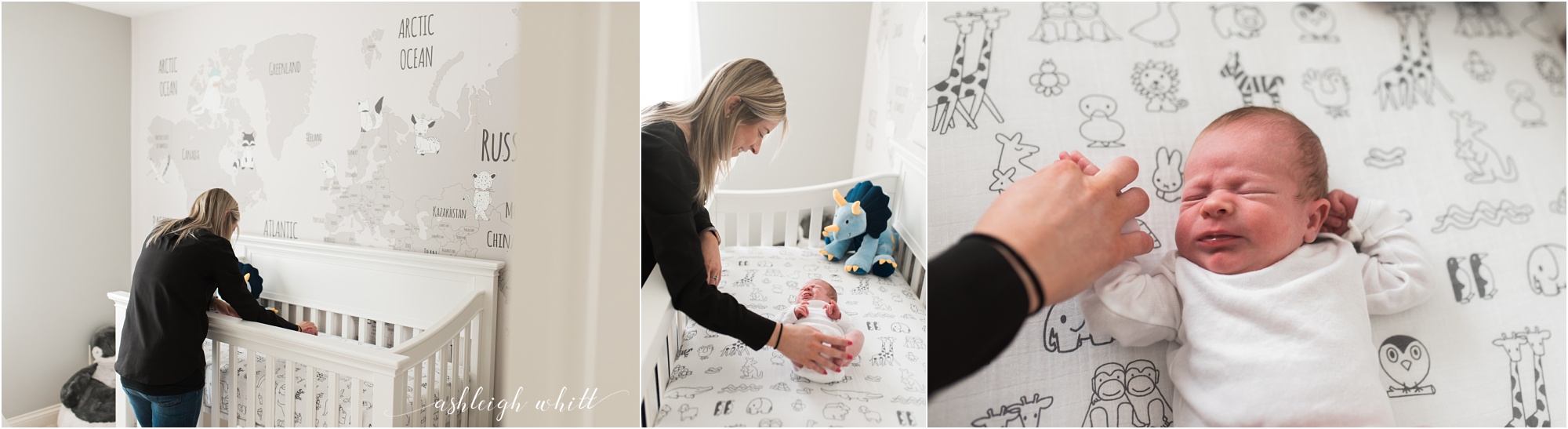 Brecksville Newborn Photographer