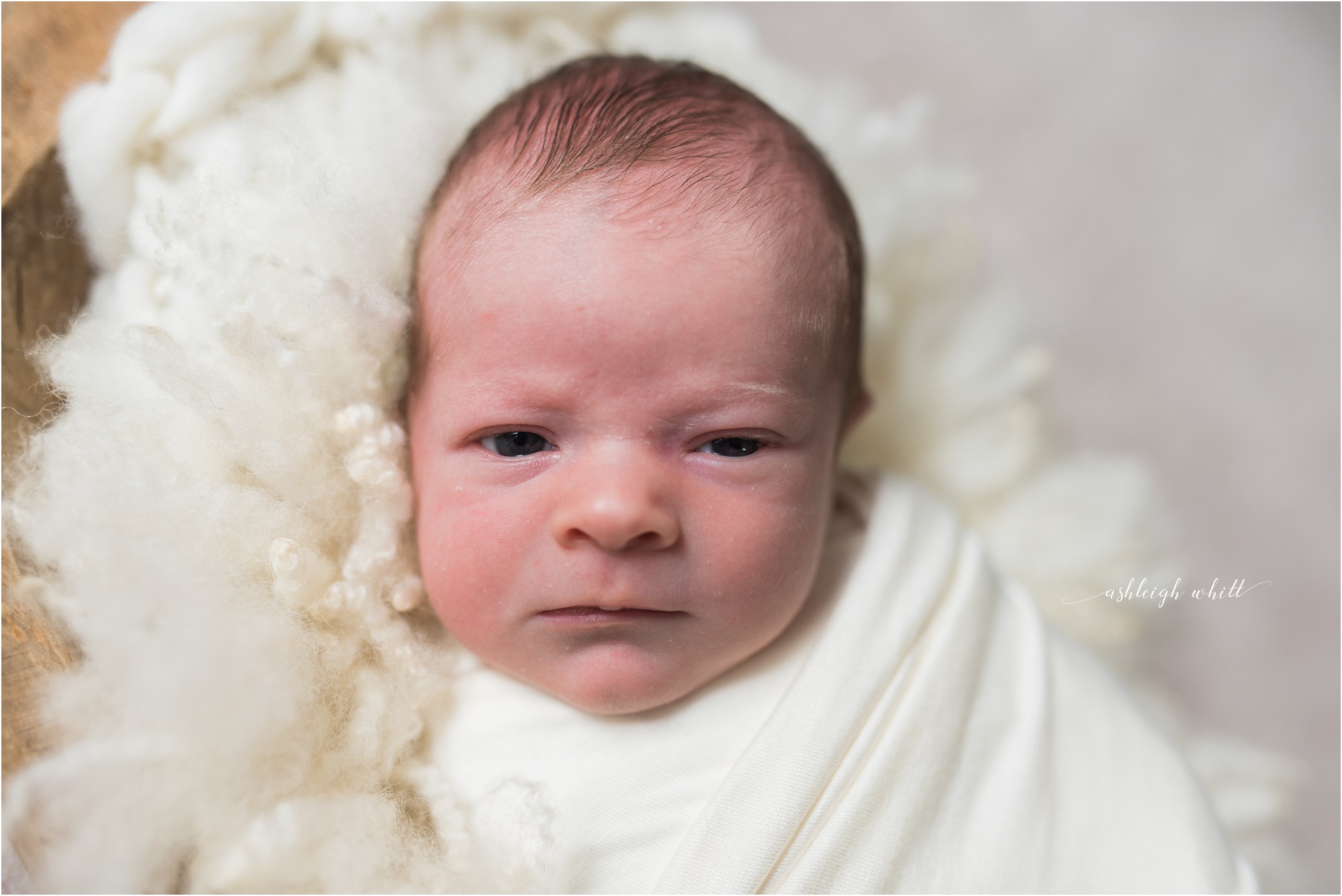 Brecksville Newborn Photographer