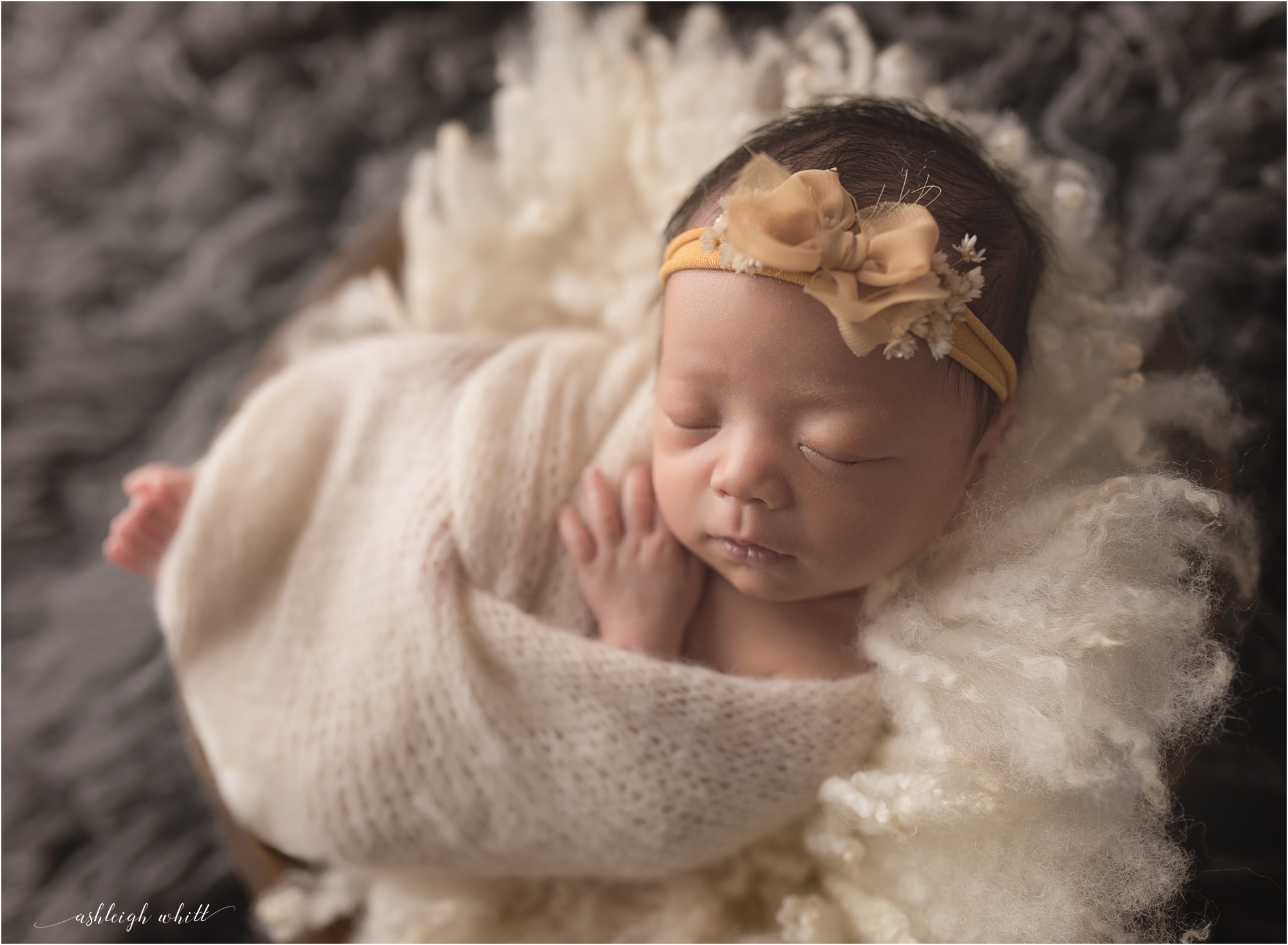 Cleveland Area Newborn Photographers