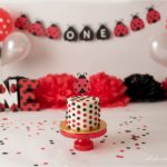 Akron Ohio Cake Smash Photographer