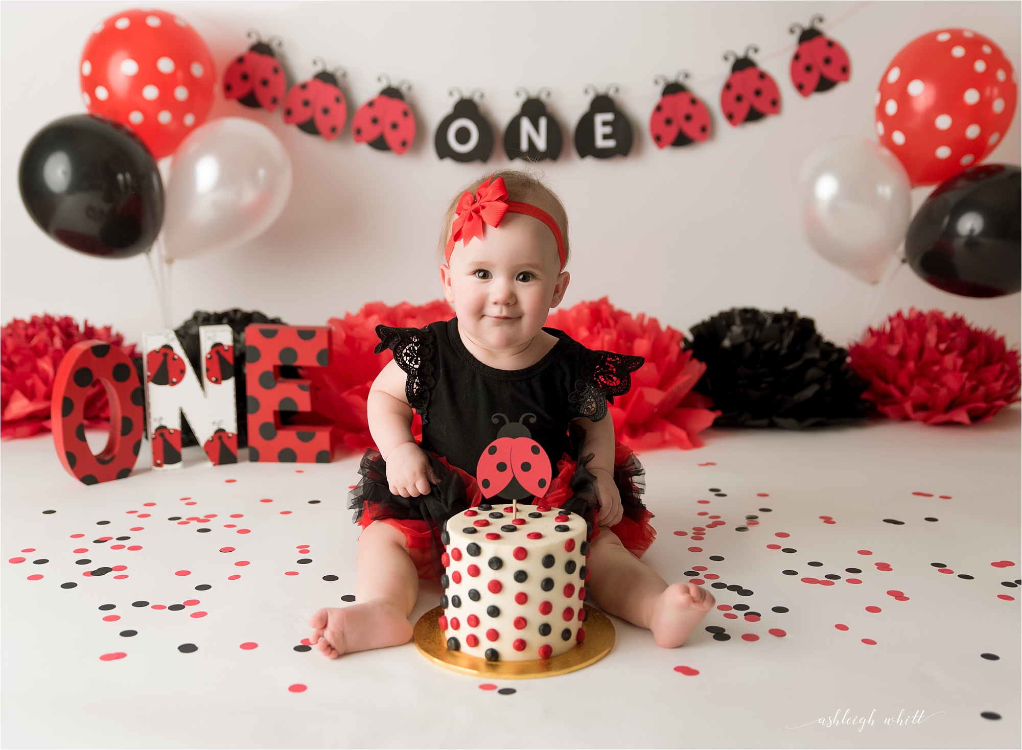 Akron Ohio Cake Smash Photographer