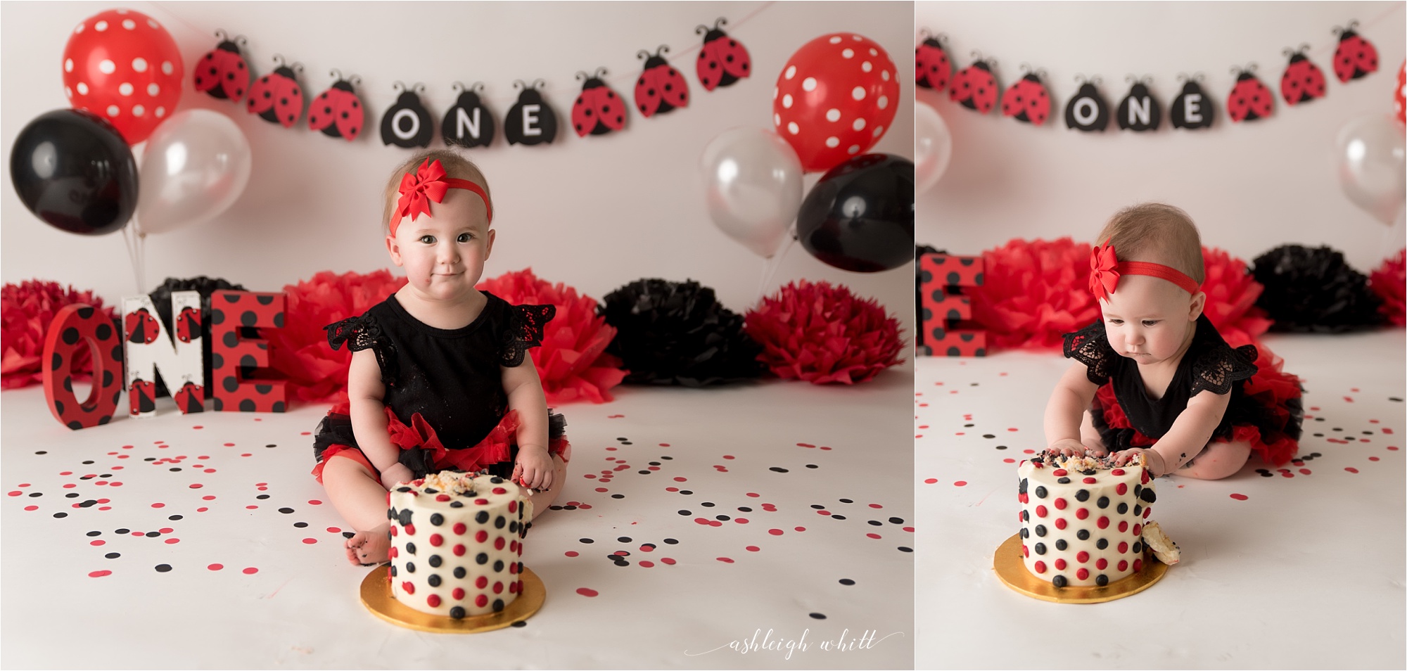 Akron Ohio Cake Smash Photographer