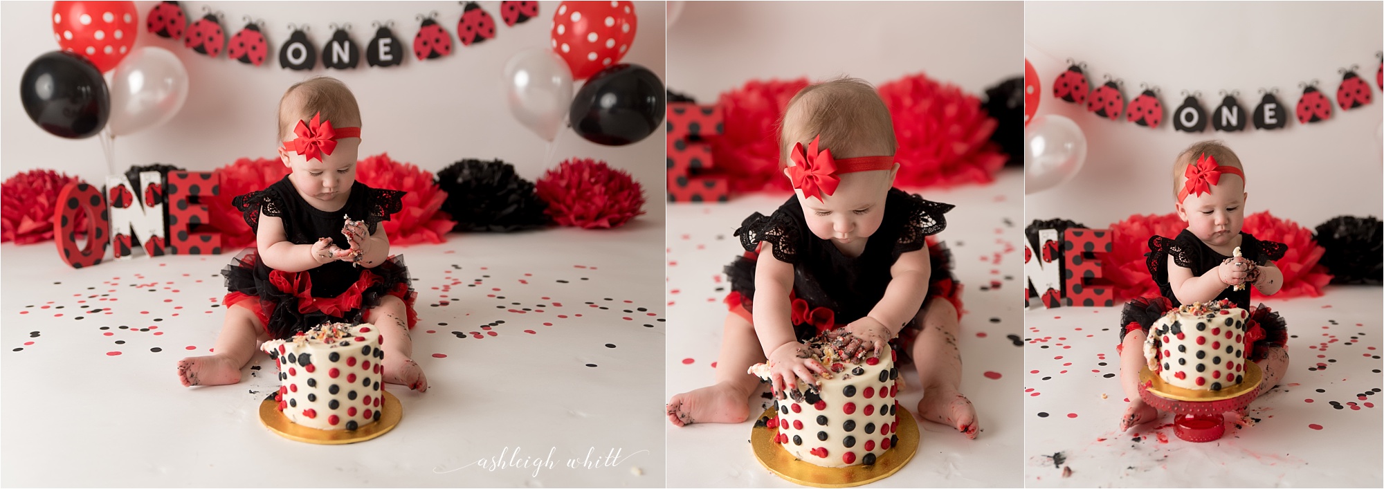 Akron Ohio Cake Smash Photographer