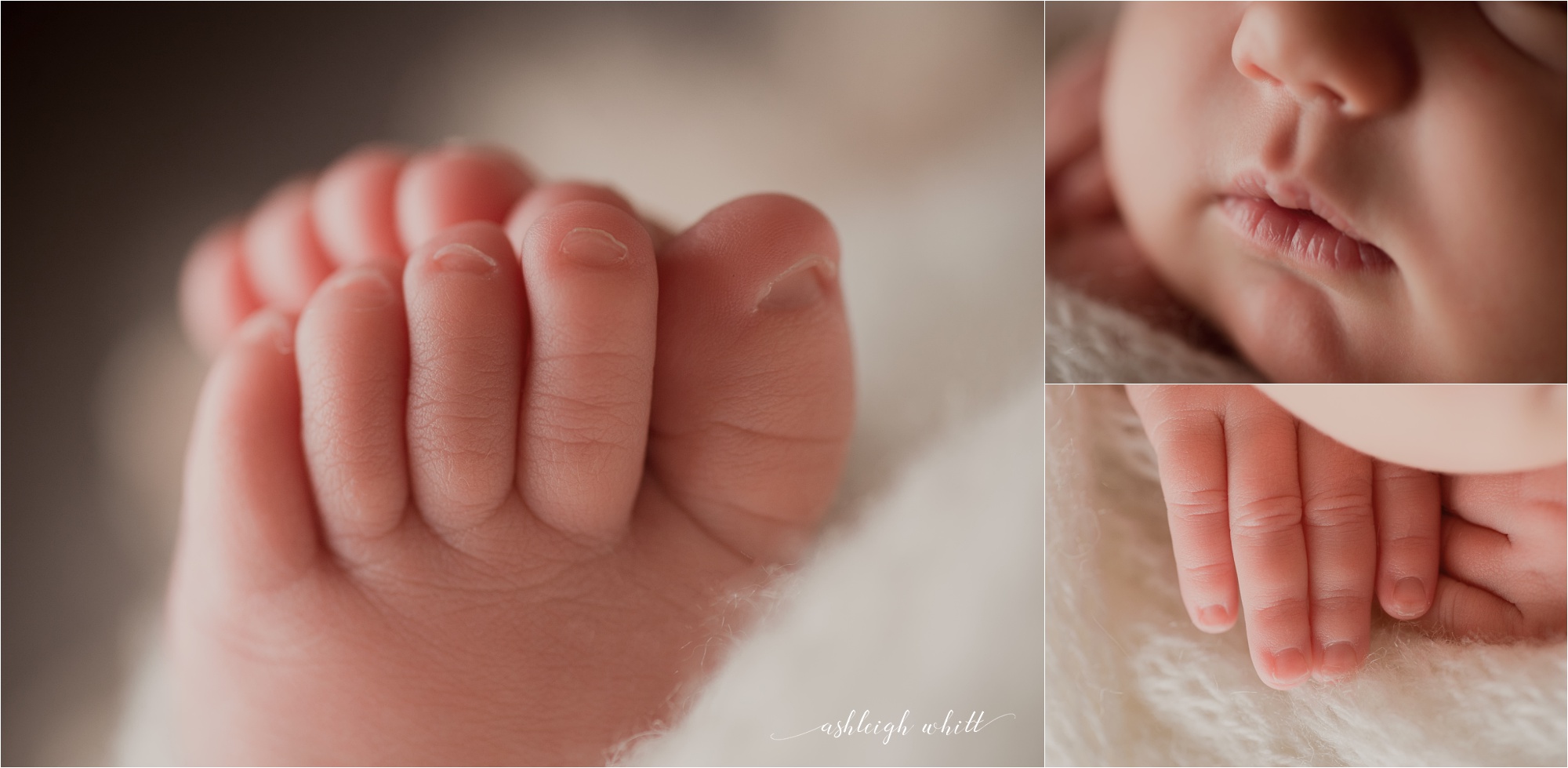 Best Cleveland Newborn Photographer