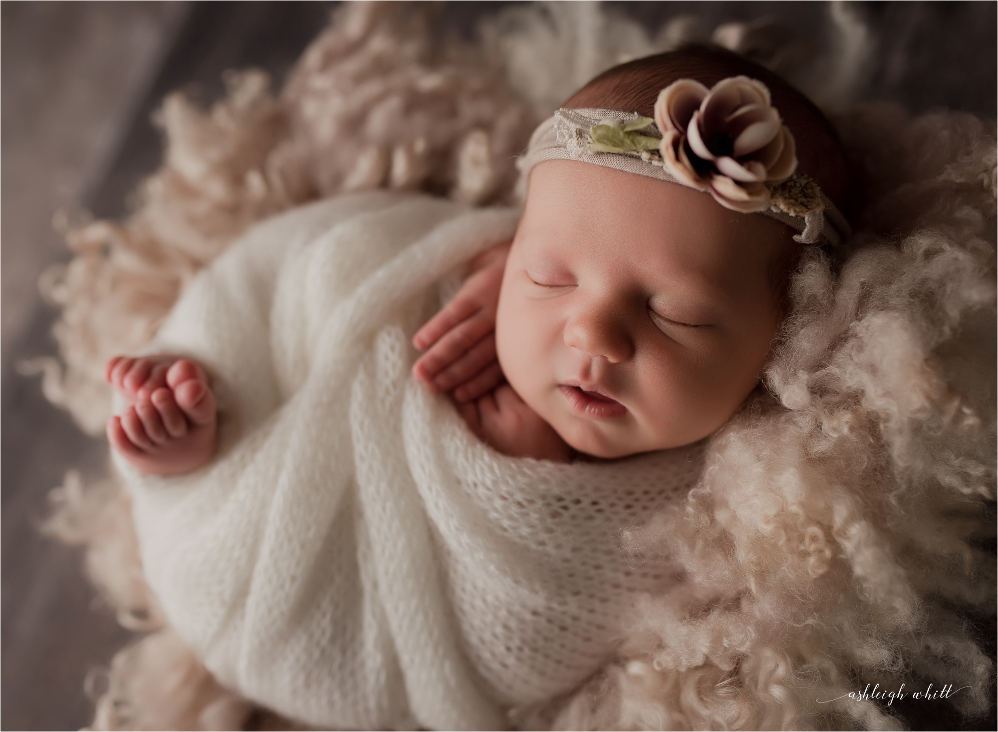 Best Cleveland Newborn Photographer