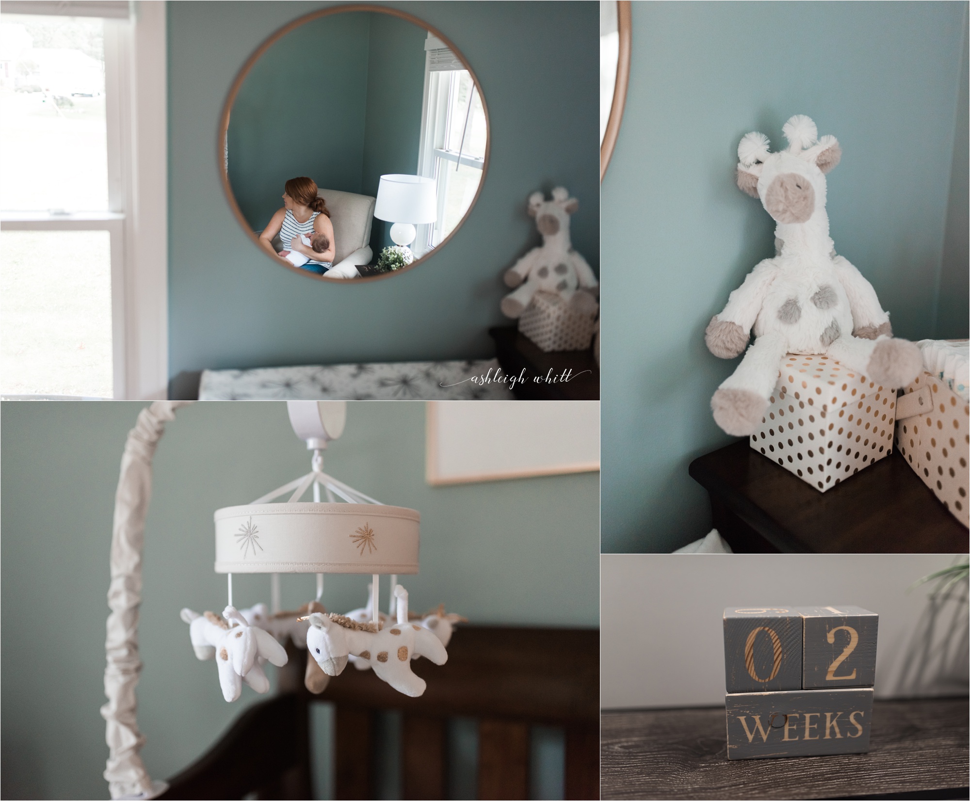 Medina Newborn Photographer