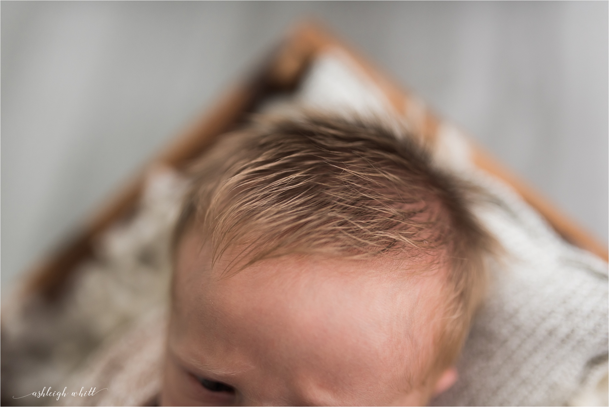 Medina Newborn Photographer