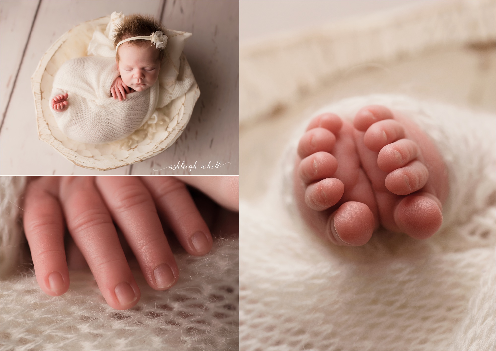 Best Newborn Photographers Cleveland