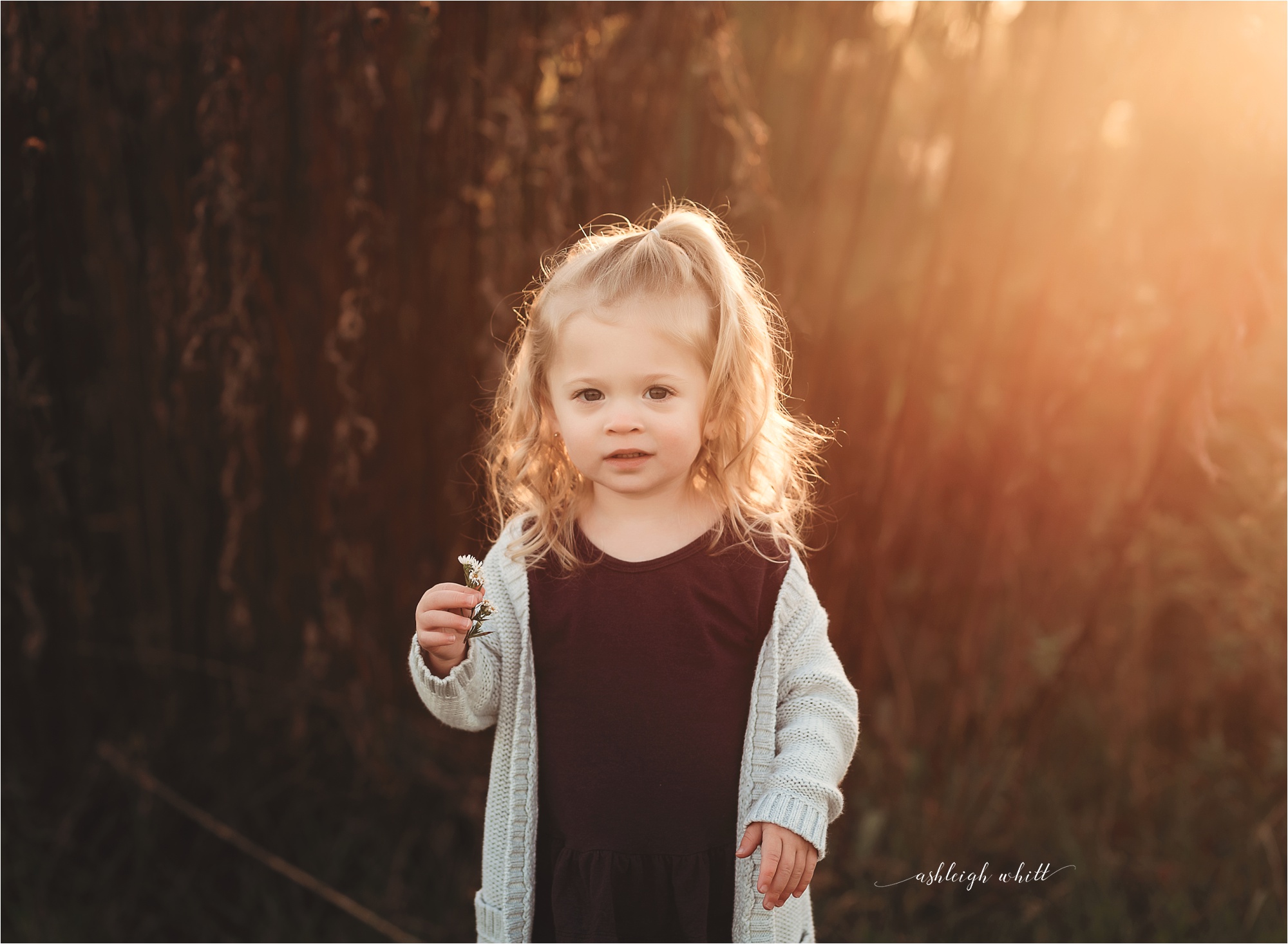 Chagrin Falls Family Photographer