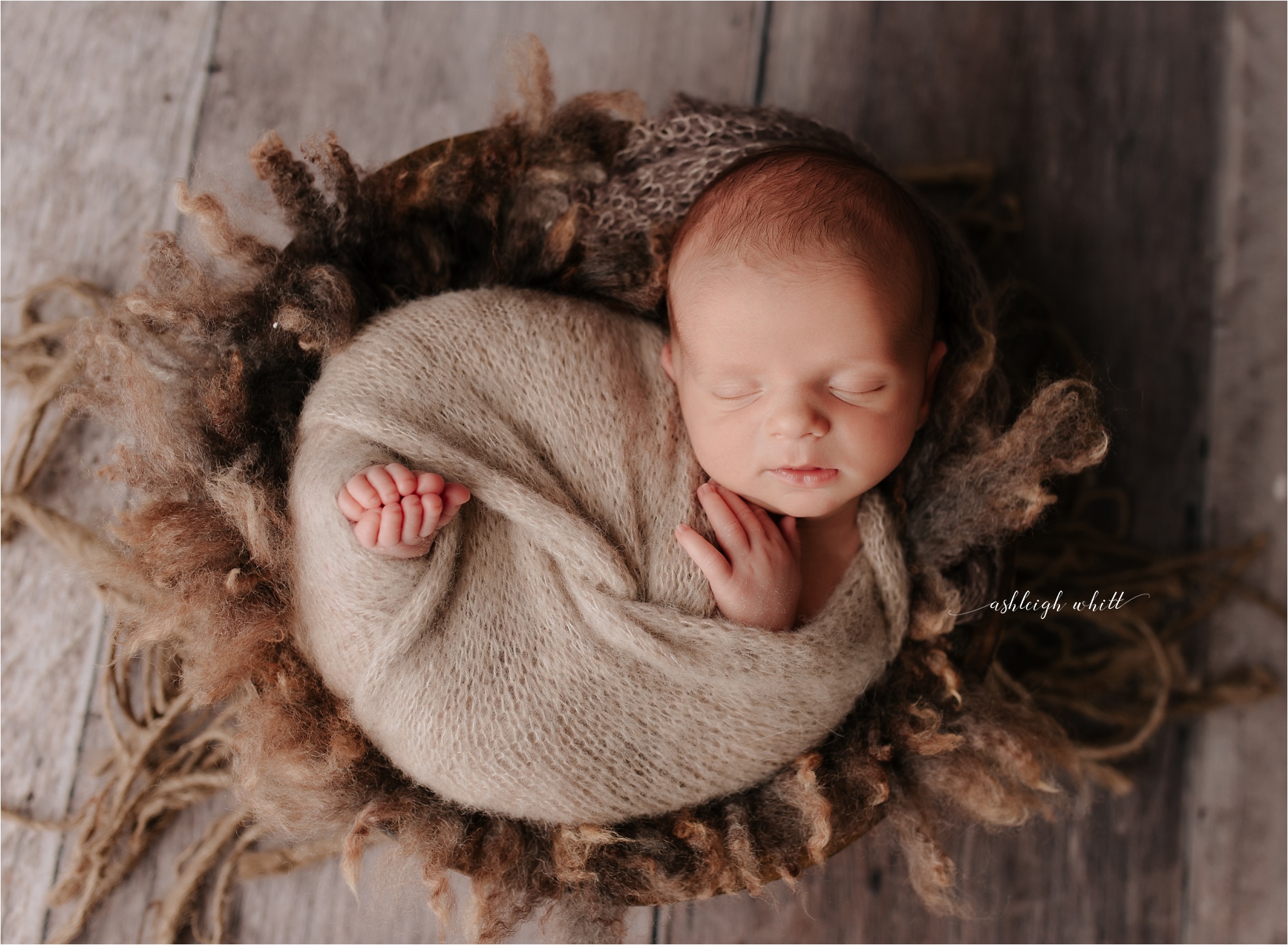 Brecksville Newborn Photography