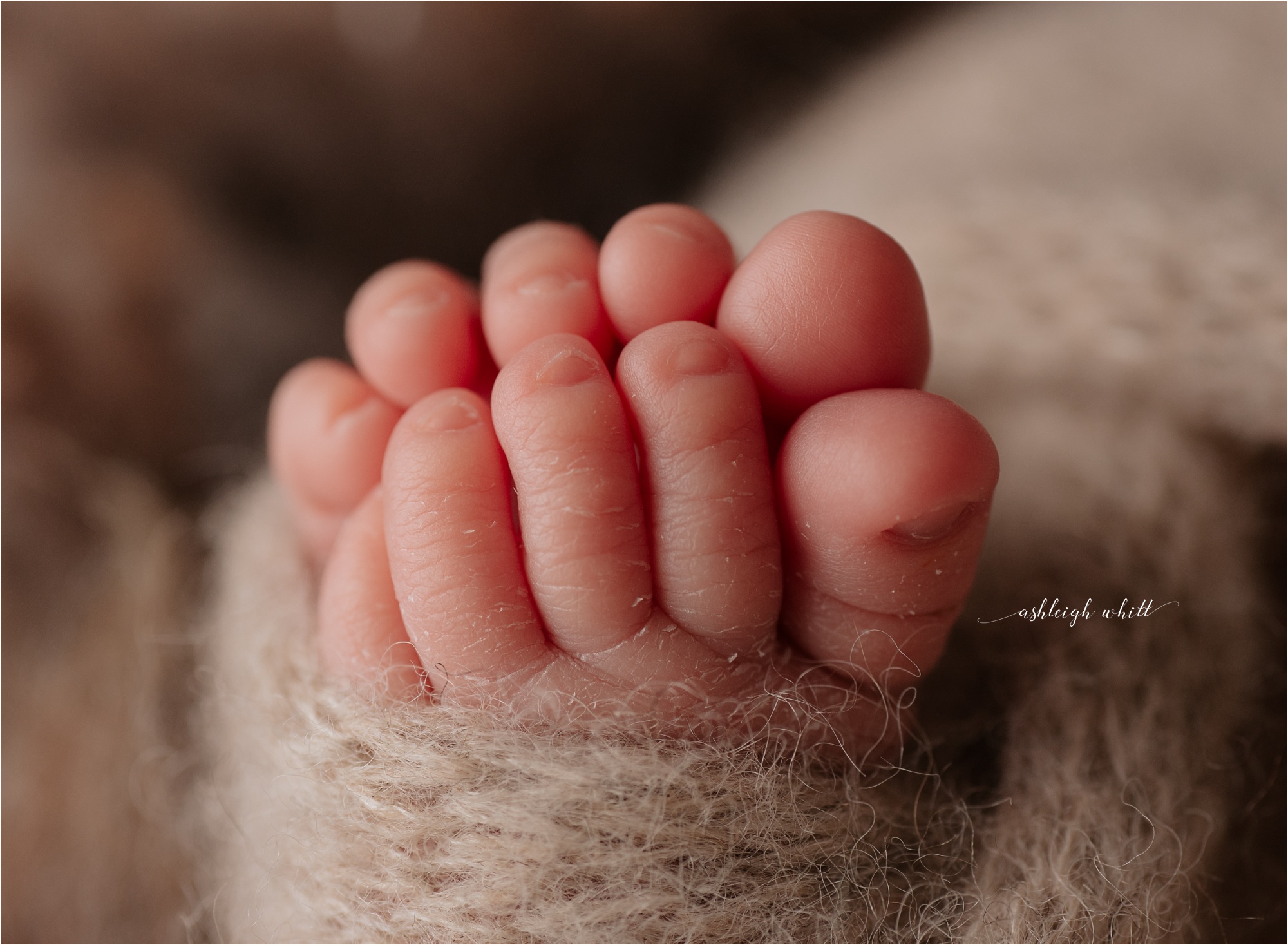 Brecksville Newborn Photography