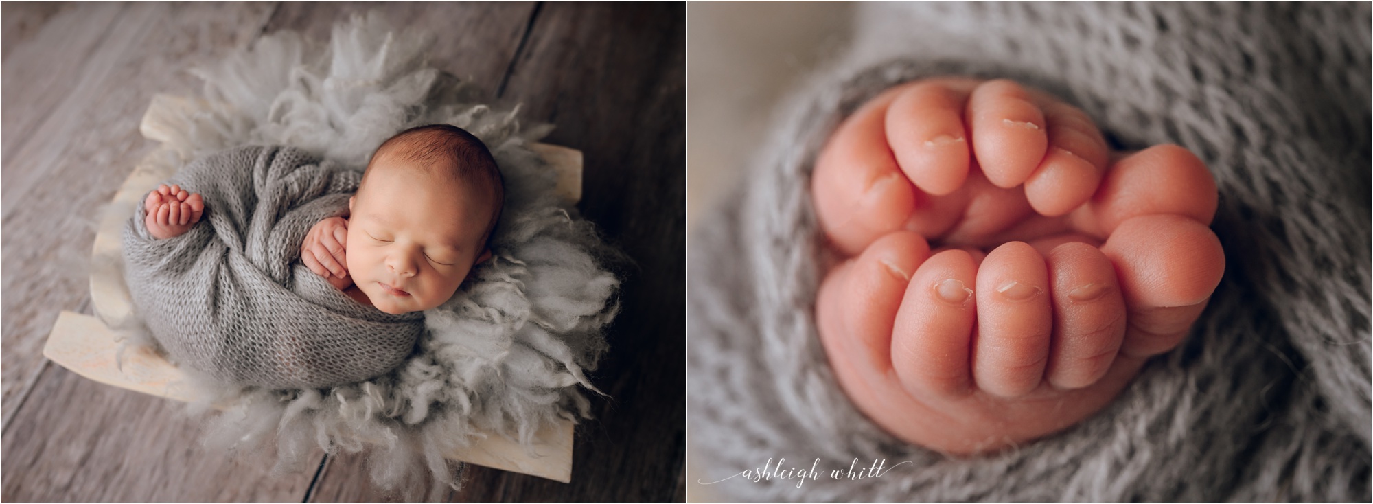 Lakewood Newborn Photographer