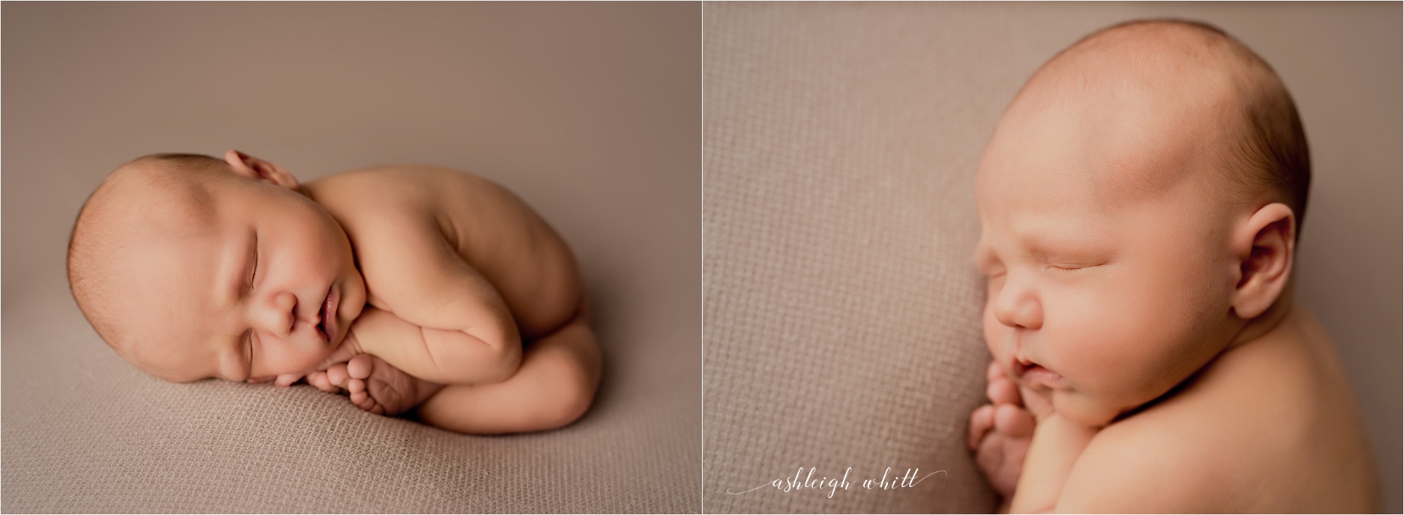 Cleveland Newborn Portraits