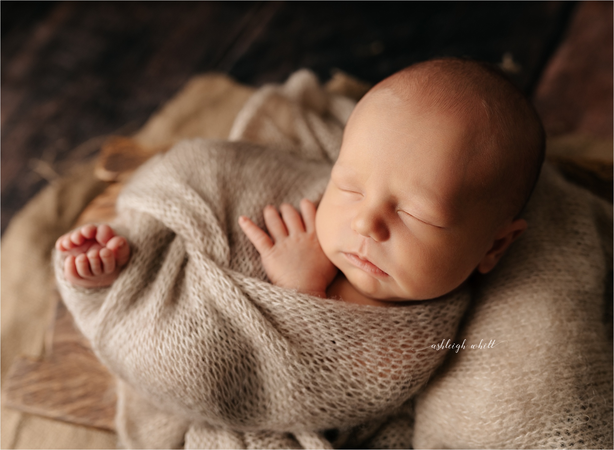 Cleveland Newborn Portraits