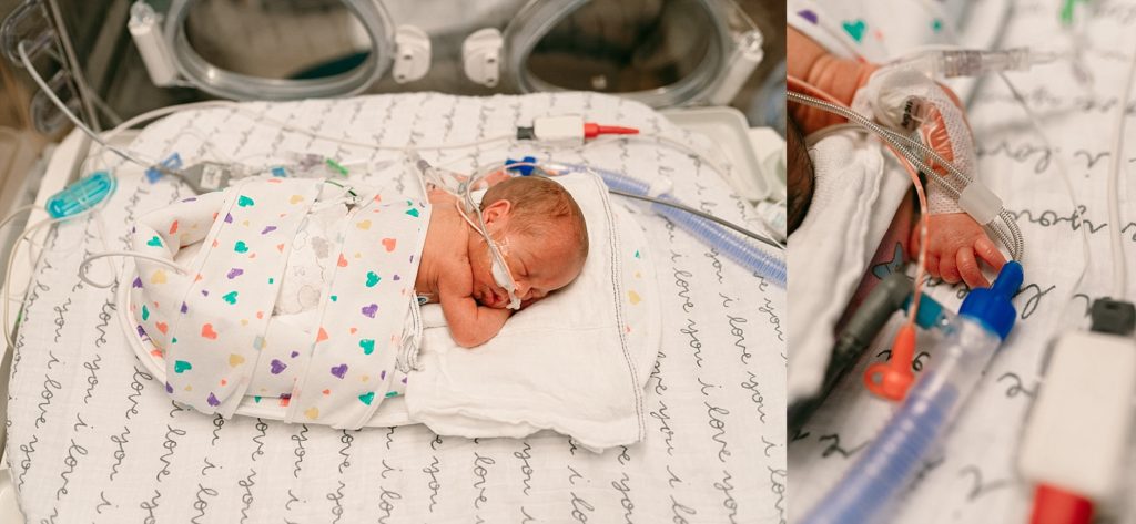 Cleveland Preemie Photographer