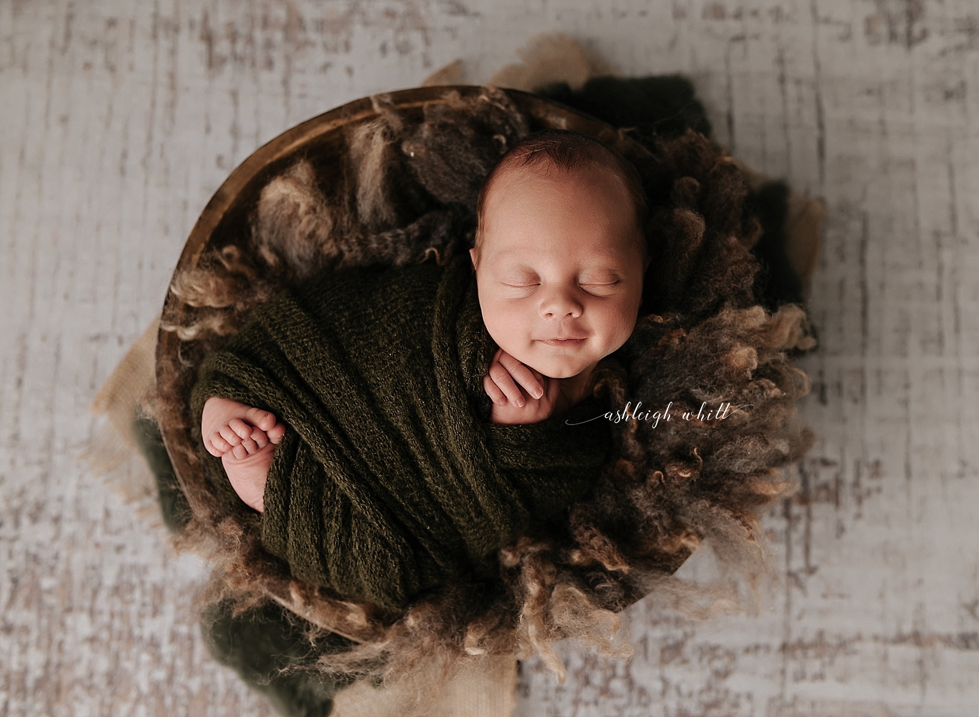 Baby Photos Cleveland Ohio