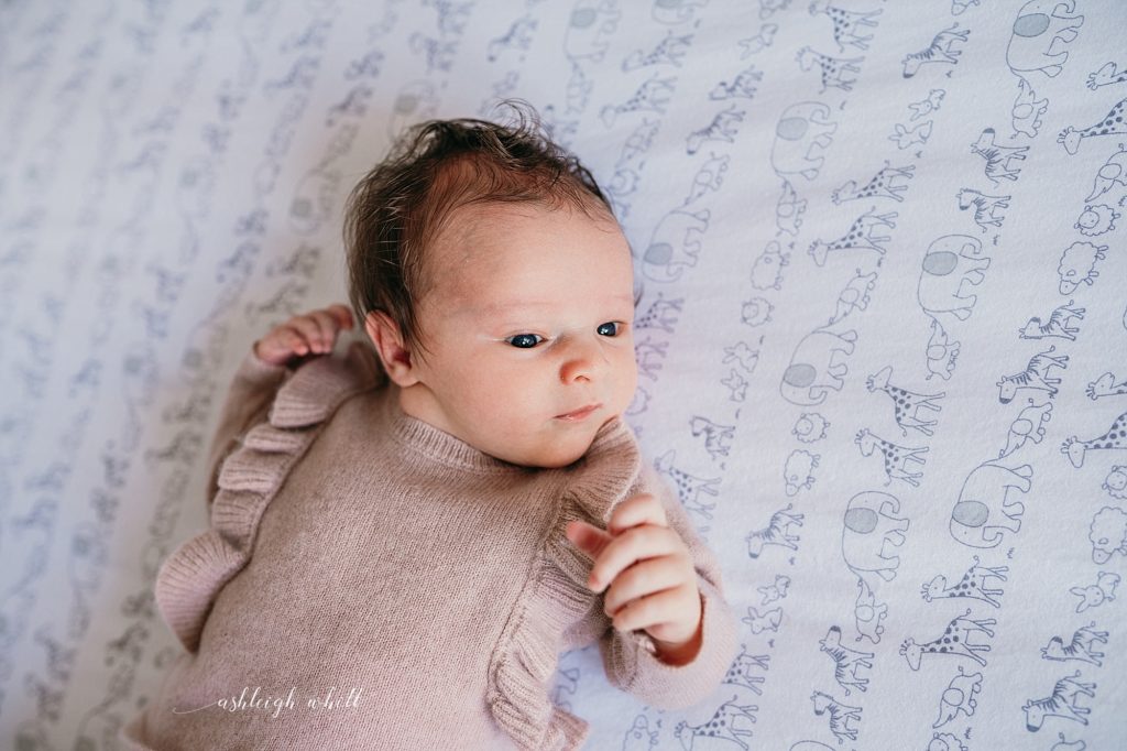 Traveling Newborn Photographer Cleveland