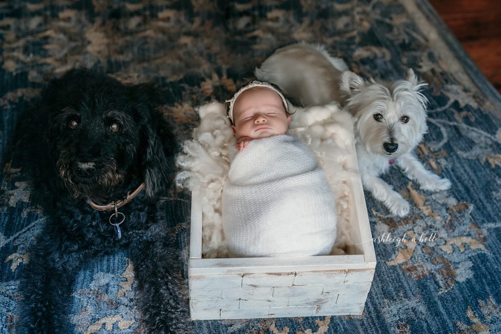 Traveling Newborn Photographer Cleveland