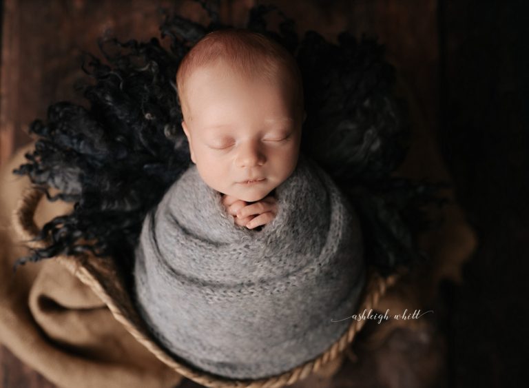 Newborn Photography Akron