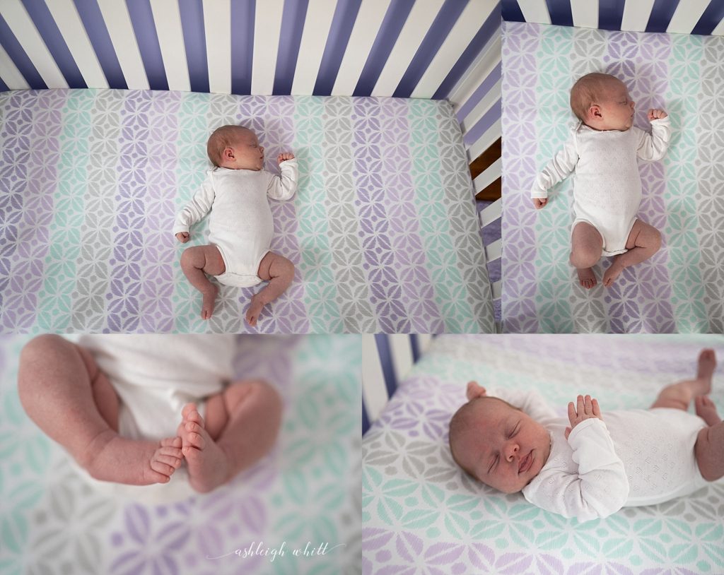 Rocky River Newborn Photos