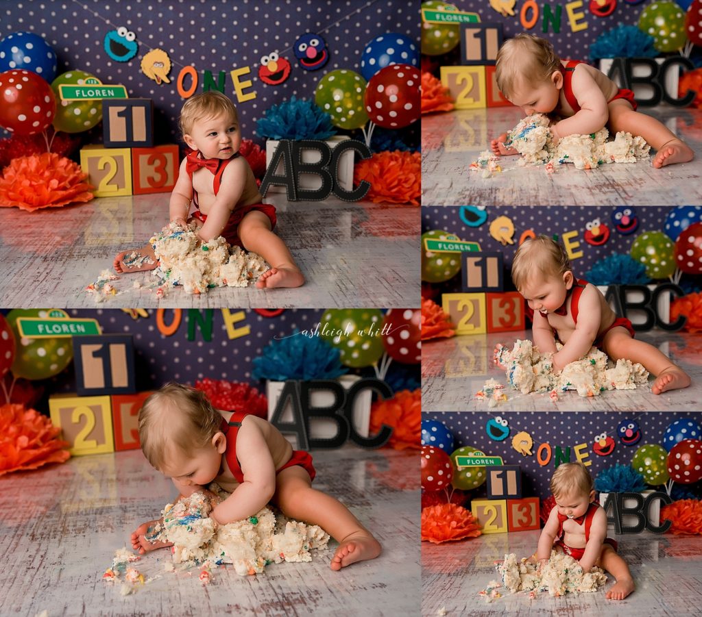 Avon Ohio Cake Smash Photography