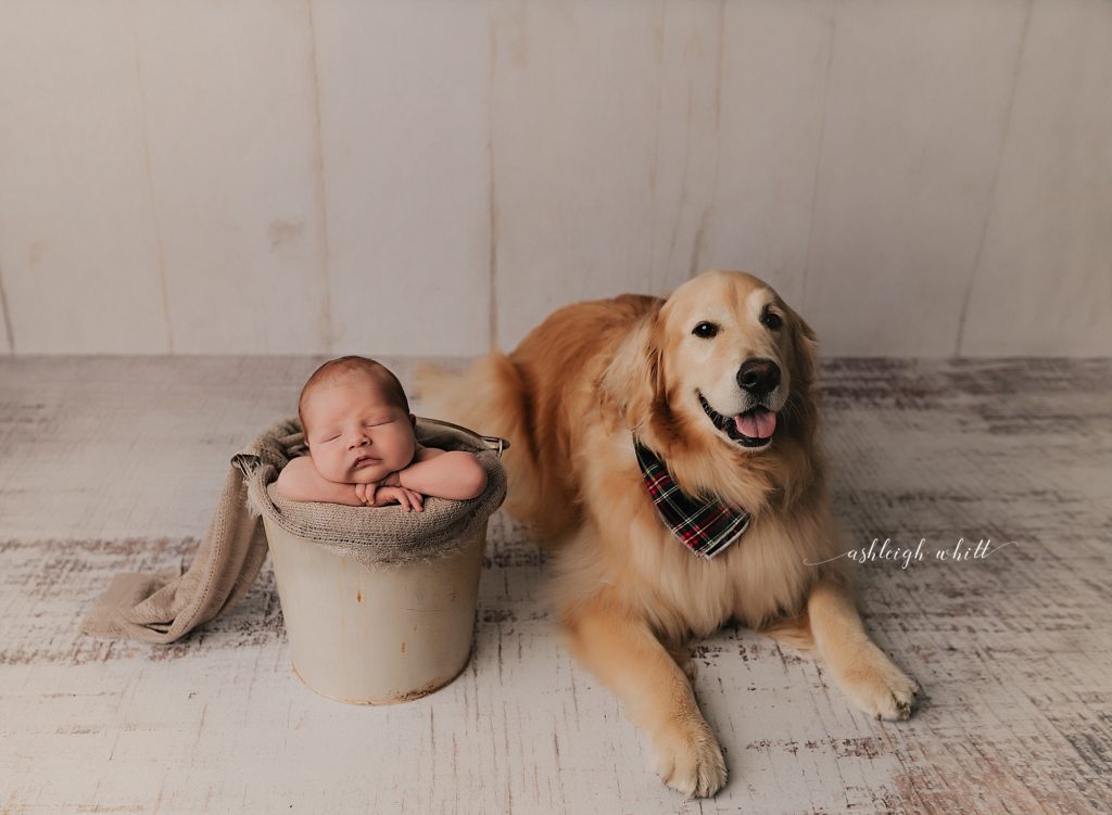 Newborn Studio Photos Cleveland