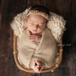 Newborn Photographers Avon Ohio