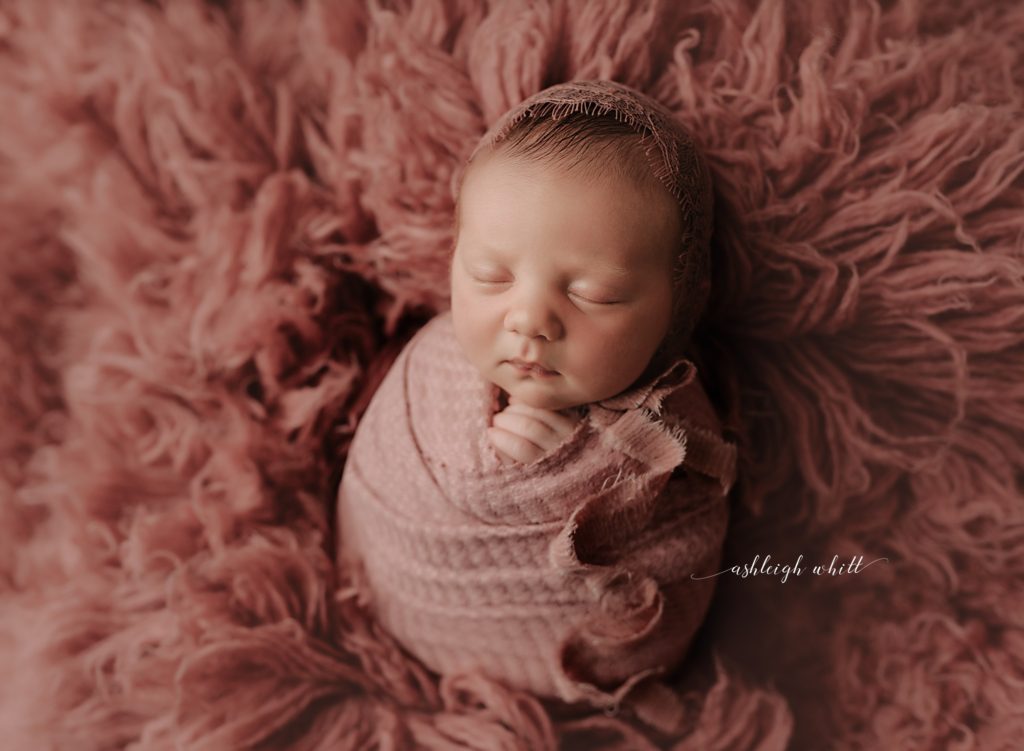 Newborn Photographers Northeast Ohio