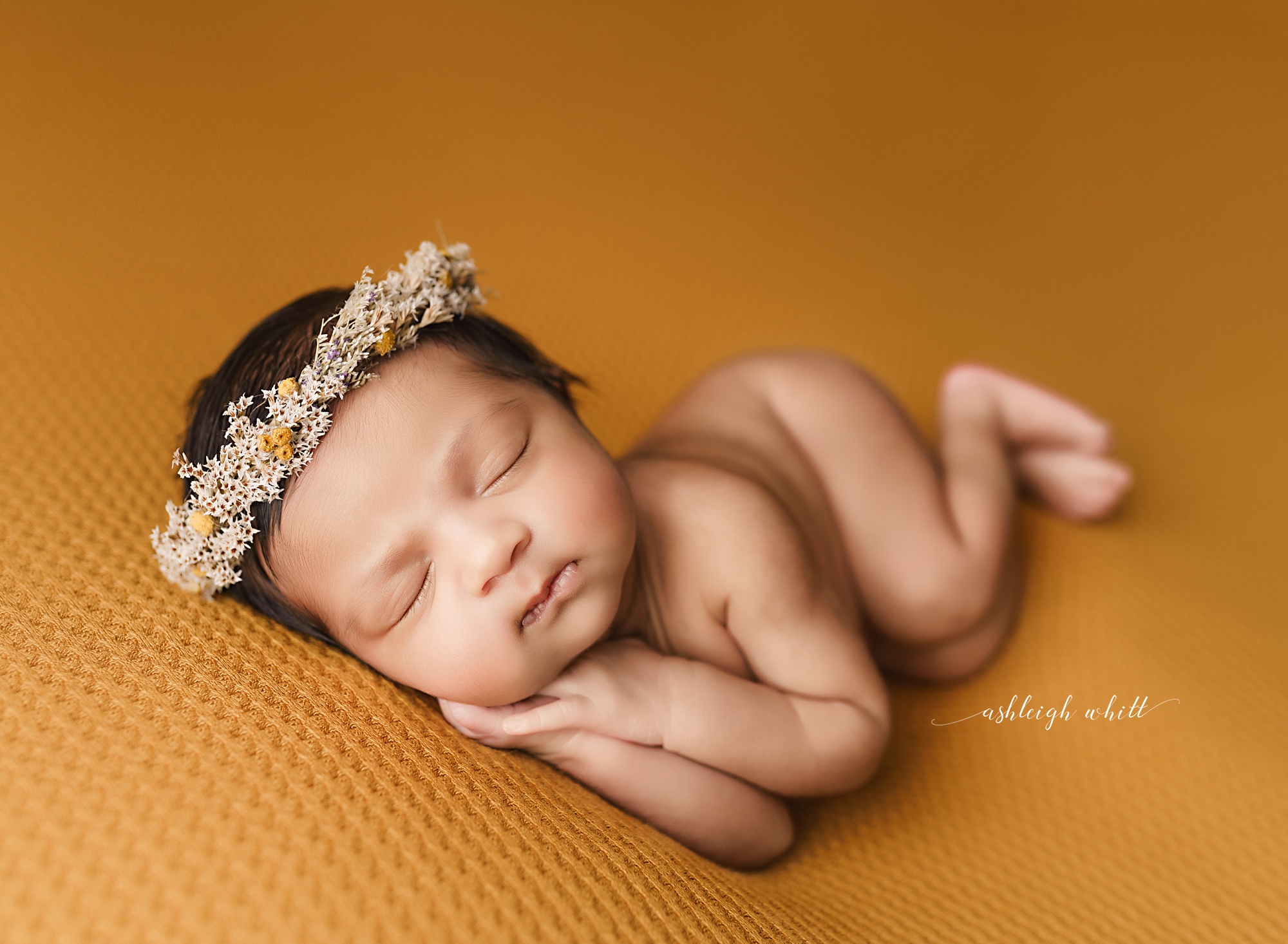 Cleveland's Best Newborn Photographer