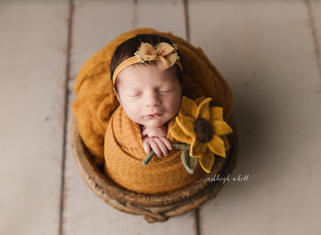 Avon Ohio Newborn Portraits