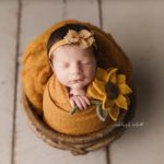 Avon Ohio Newborn Portraits