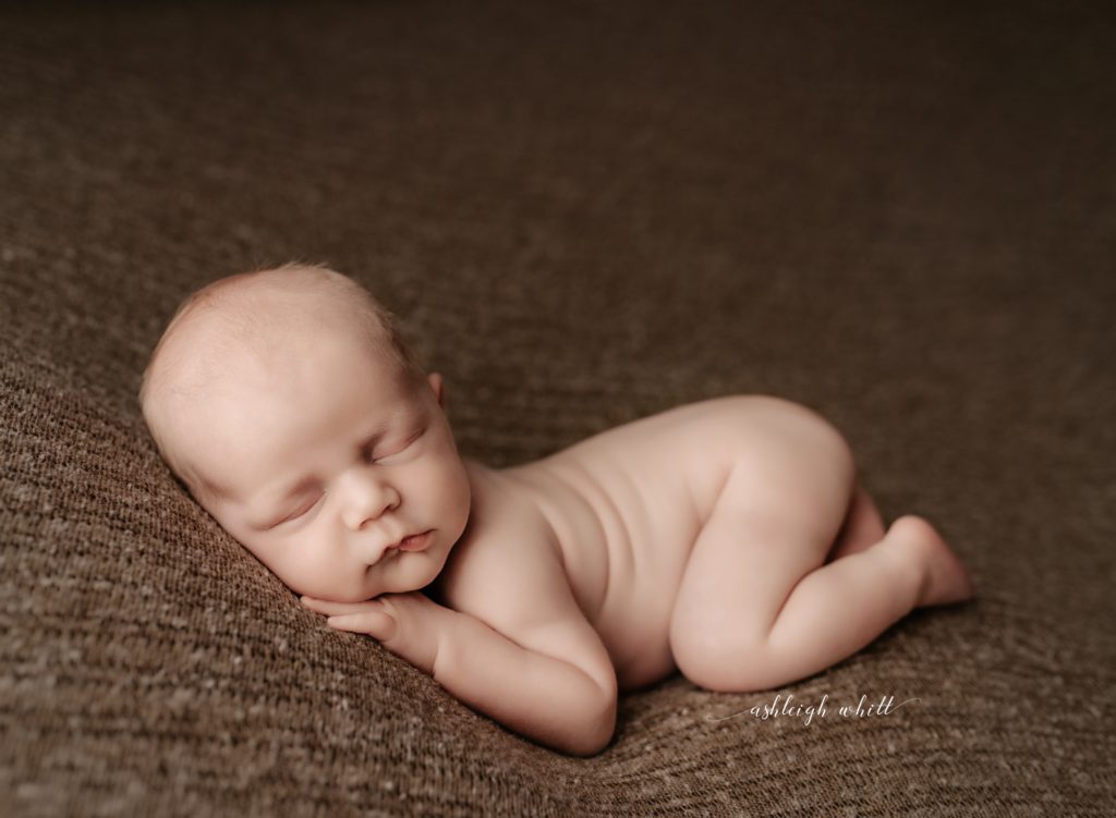 Newborn Photos Avon Ohio