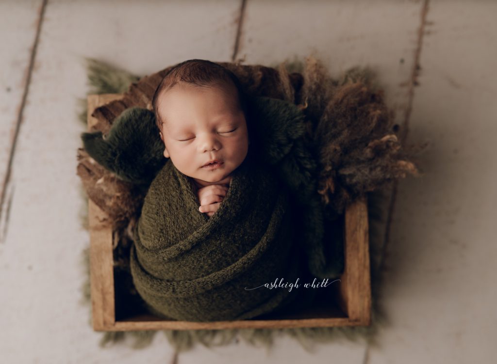 Newborn Photographers Akron