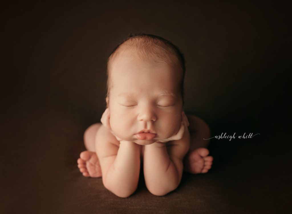 Newborn Portraits Avon Ohio