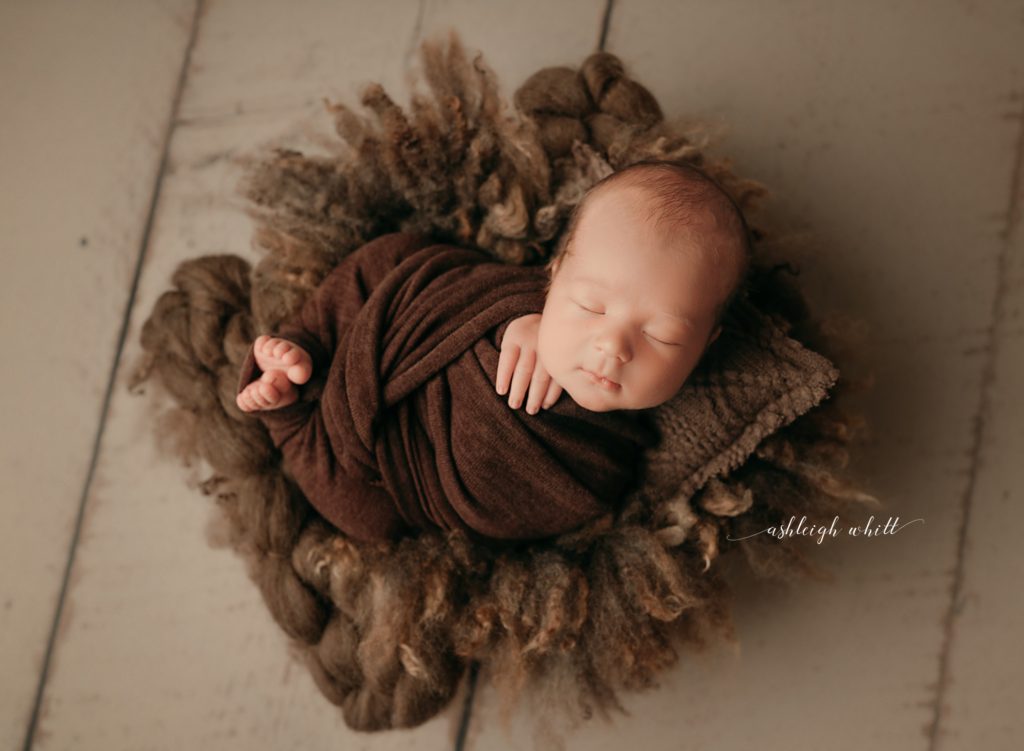 Newborn Portraits Avon Ohio