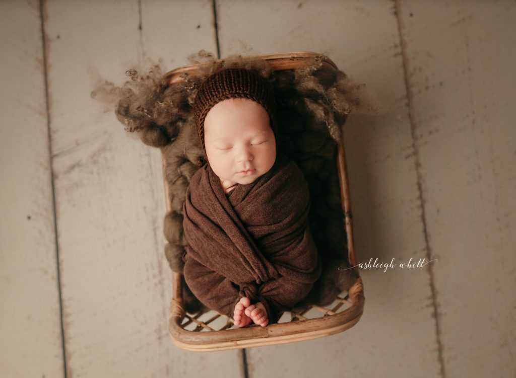 Newborn Portraits Avon Ohio